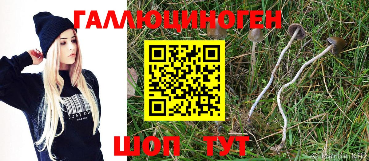 Галлюциногенные грибы Magic Shrooms  Вход с VPN  Ростов-на-Дону 